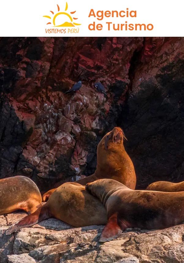 Hotel Sol de Ica turismo